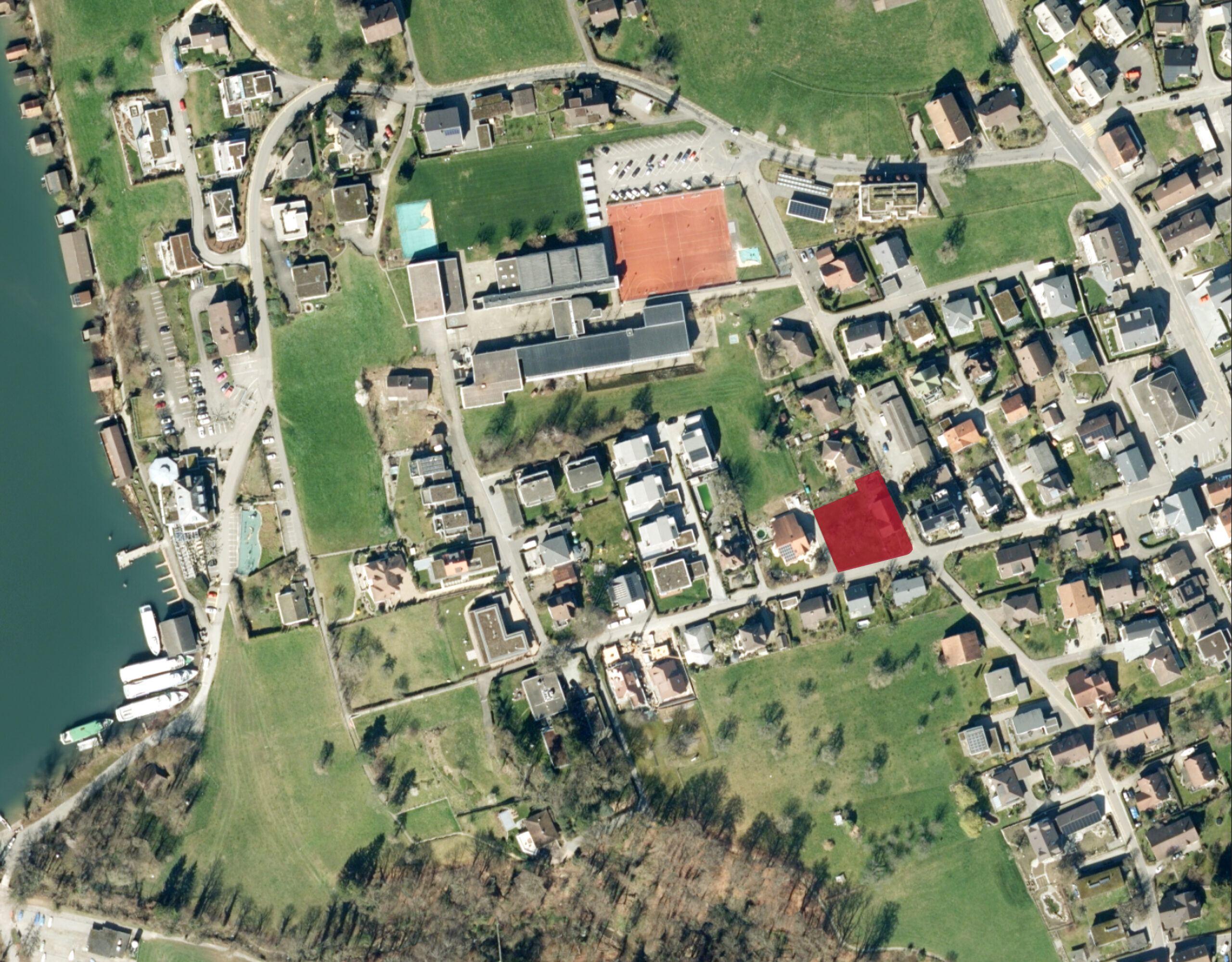 DELPHIN Meisterschwanden DMEN Development AG